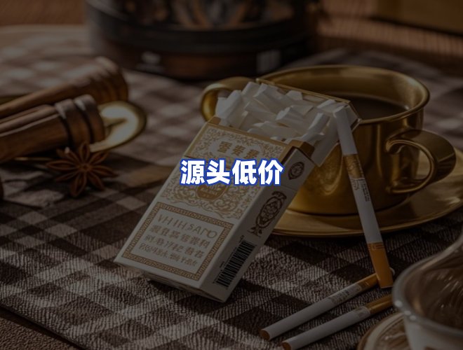 专业团队